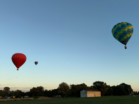 Goldrush Ballooning King Valley-King Valley必去景点