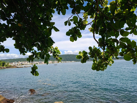 Passarela Do Ribeiro Bombinhas-Bombinhas必去景点