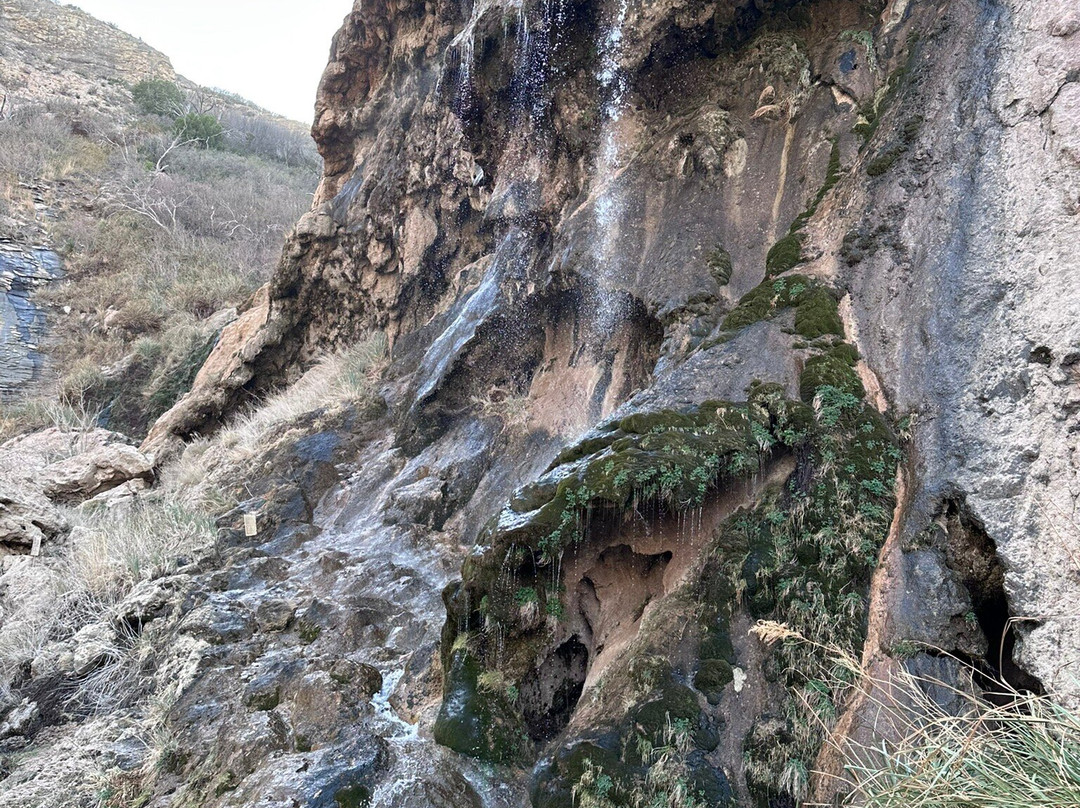 Sitting Bull Falls-卡尔斯巴德必去景点
