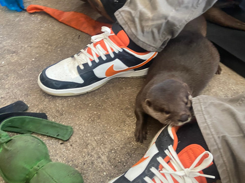 Animal Edventure Park-博因顿海滩必去景点