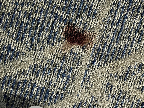 阿代尔斯维尔/卡尔霍恩区欢朋酒店主图