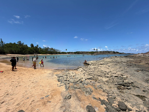 Ilha de Santo Aleixo-Sirinhaem必去景点