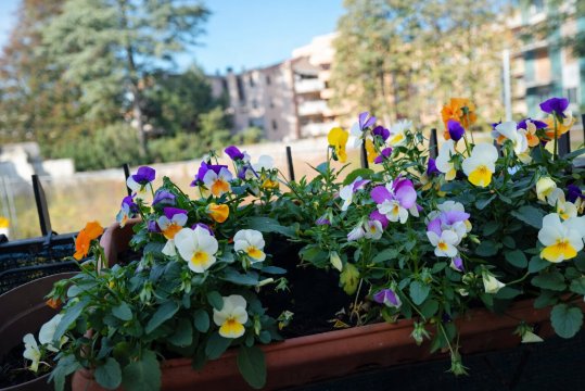 B&B Cadore-度假村/酒店