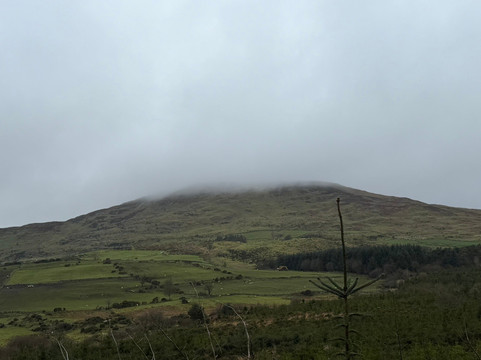 Drumkeeragh Forest-Castlewellan必去景点