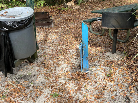 Lake Ashby Park-新士麦那海滩必去景点