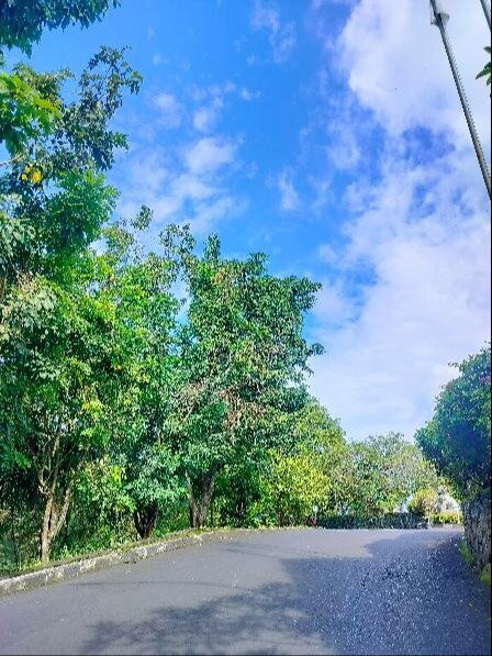 巨港半岛酒店主图