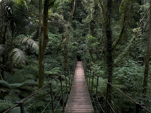 Garden Park Gramado-格拉玛多必去景点