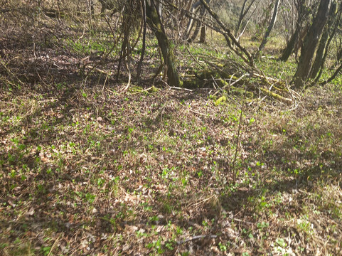 Coombe Hill-艾尔斯伯里必去景点