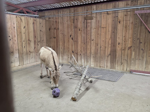 The Wilds-Cumberland必去景点