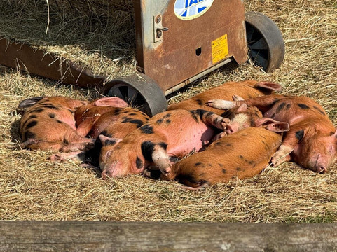 科茨沃尔德农场公园-Kineton必去景点