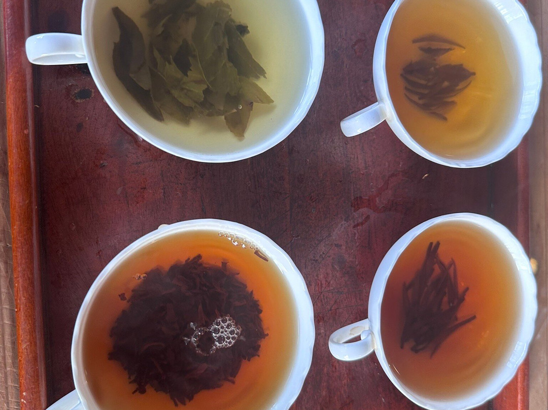 Pilimathalawa Tea Factory-Pilimathalawa必去景点