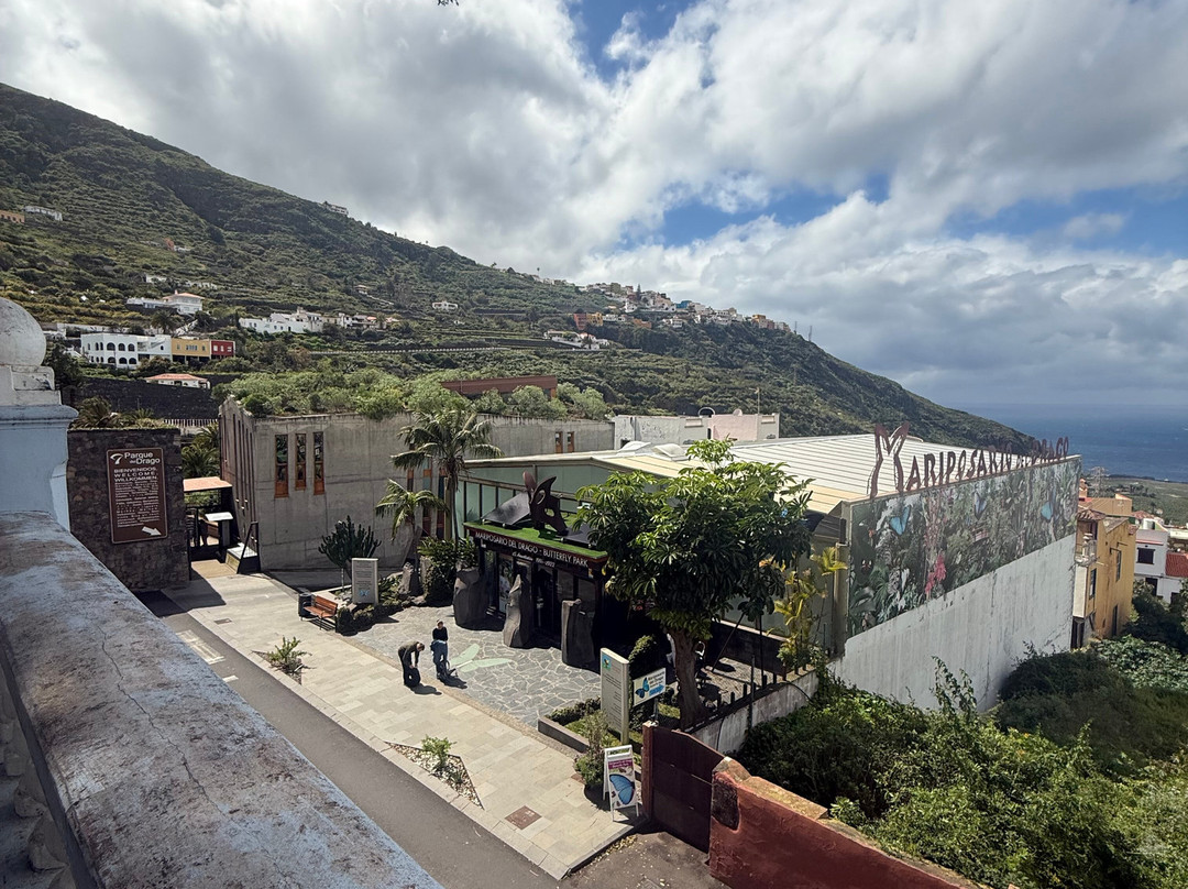 Tenerife First Excursions-奥德杰海岸必去景点