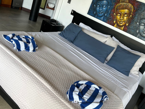 图莱马尔豪华度假屋主图