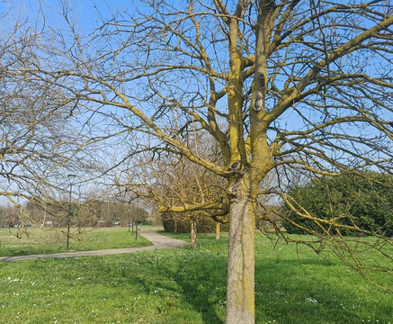 Parco Brianza Centrale-塞雷尼奥必去景点