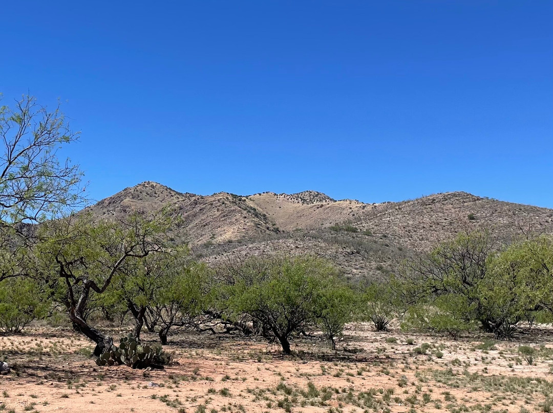 Kartchner Caverns State Park-Benson必去景点
