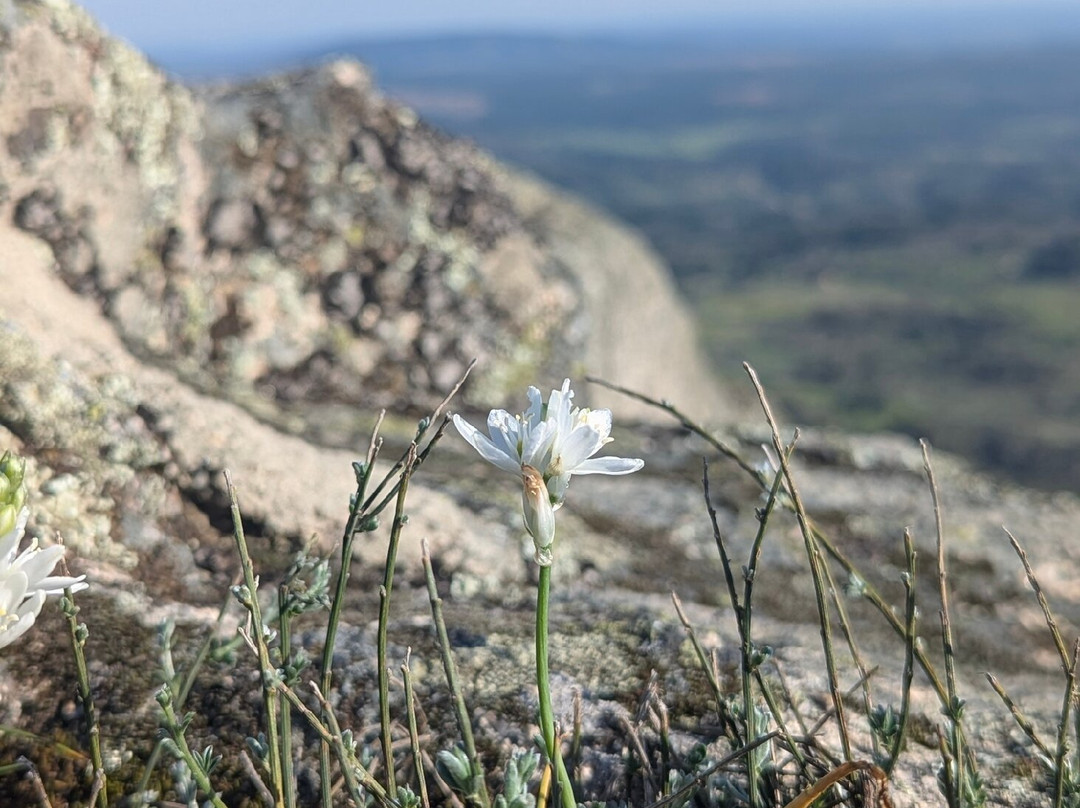 Aldeia histórica de Monsanto-孟山多必去景点