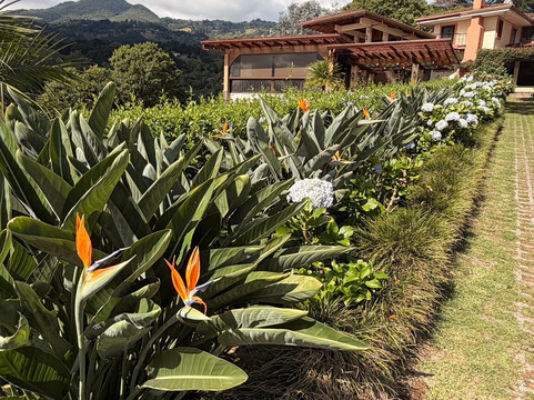 芬卡圣何塞机场芬卡帕拉伊索住宿加早餐旅馆主图