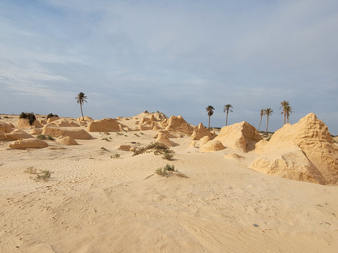 Alam Voyages-杰尔巴岛必去景点