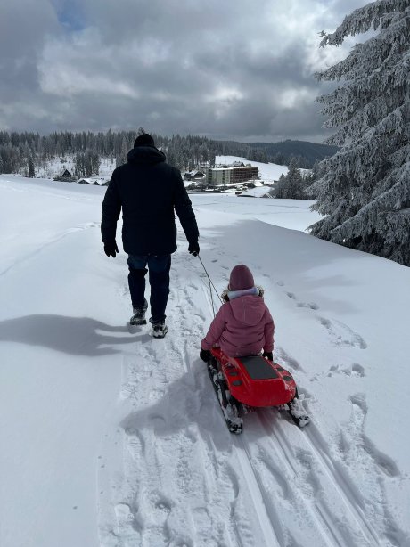 Hotel Feldberger Hof-官方