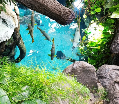 Poema Del Mar-大加那利岛拉斯帕尔马斯必去景点