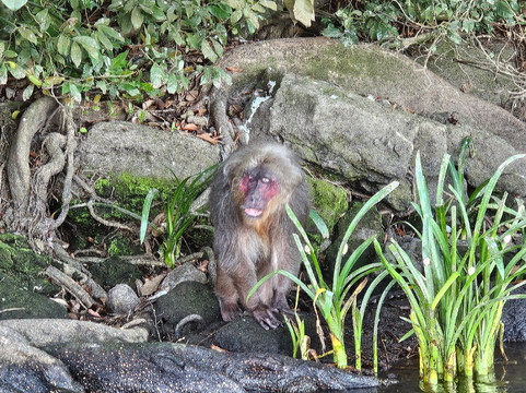 Catemaco Lake-Catemaco必去景点