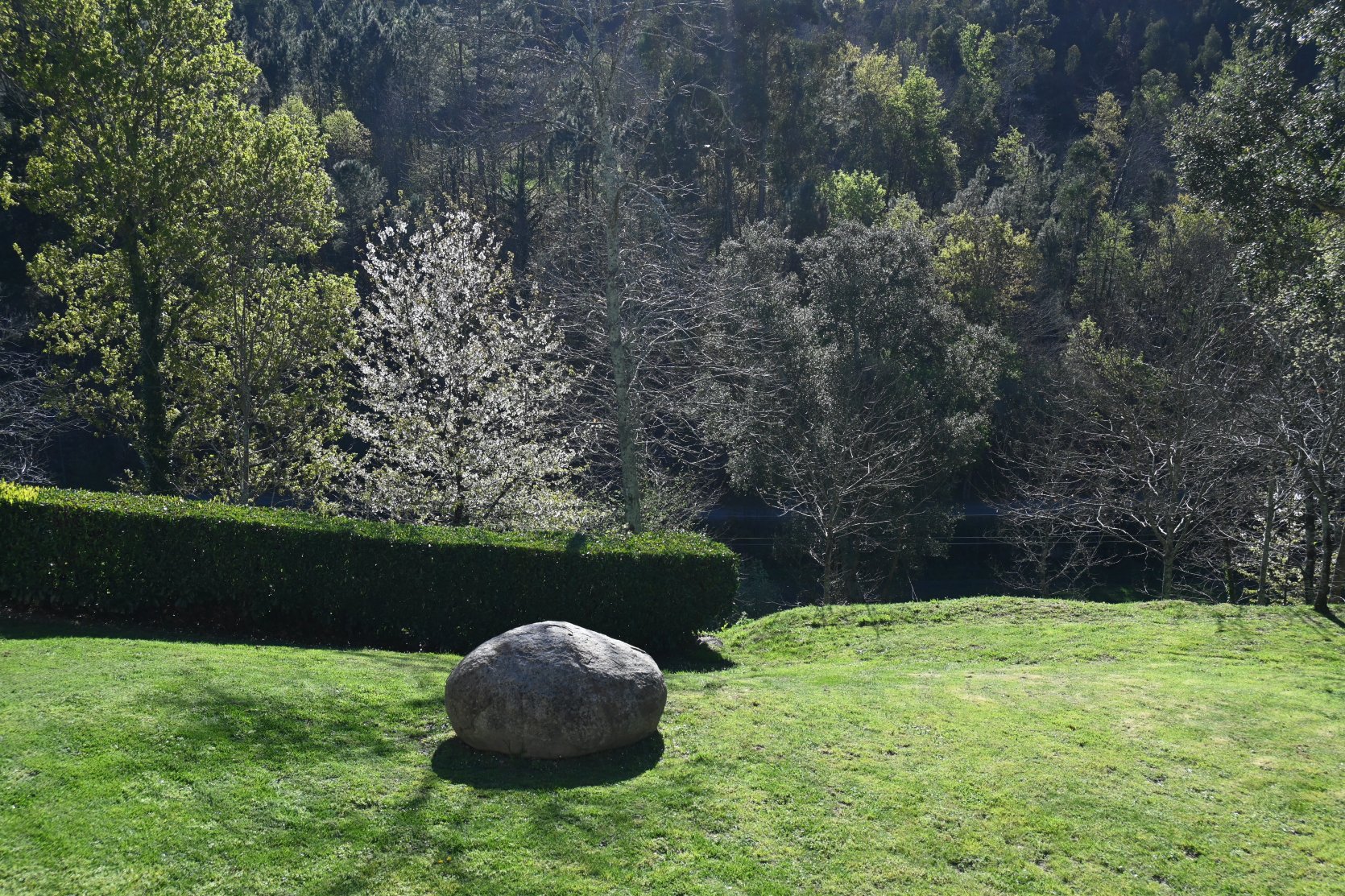 金塔德诺维乡村酒店-官方