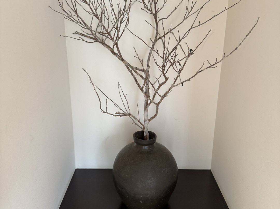 檀香酒店<种子岛>主图