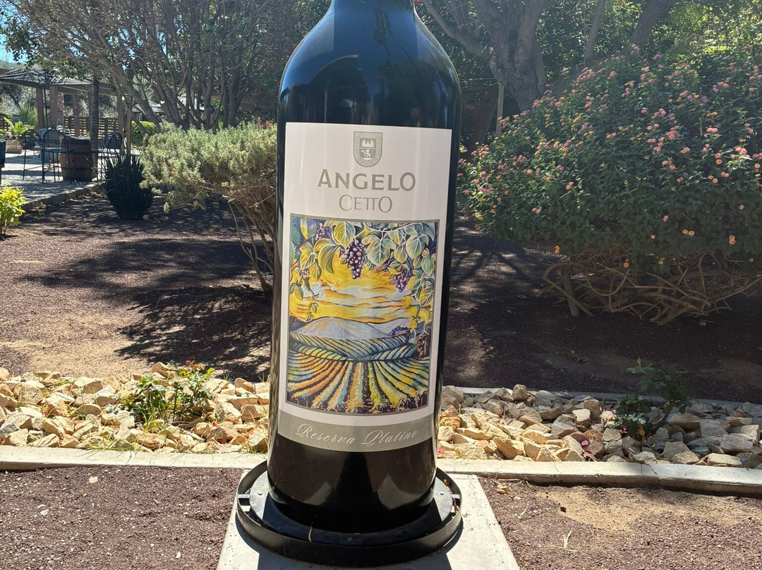L.A. Cetto Boutique Valle de Guadalupe-Valle de Guadalupe必去景点
