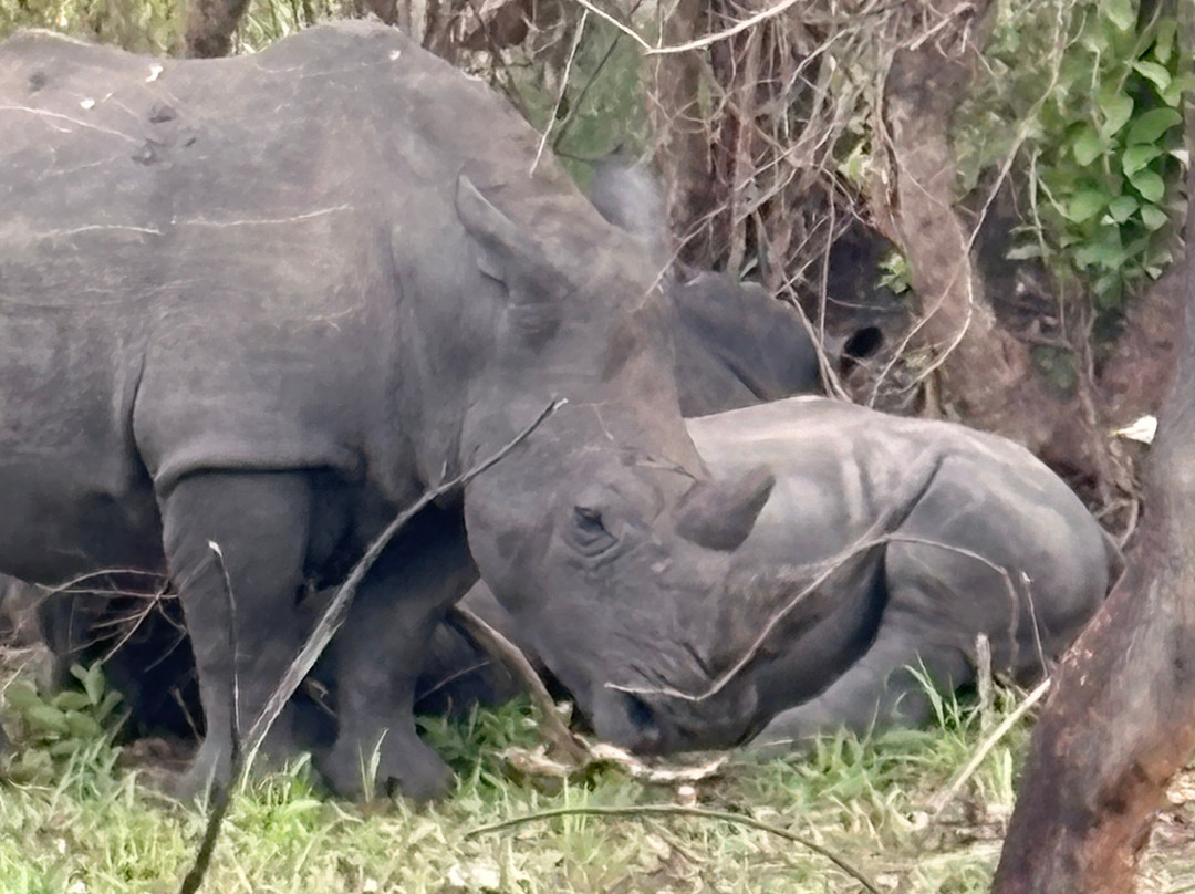 RAW Africa Eco Tours-威廉斯镇必去景点