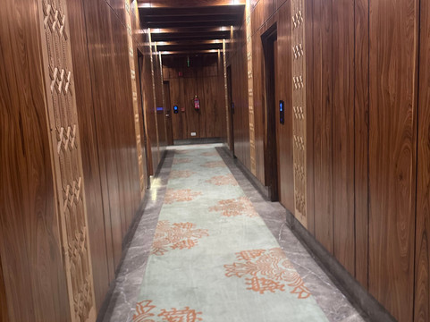 斯里纳格雪地酒店主图