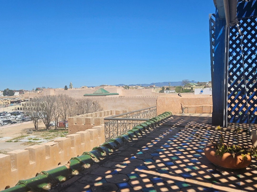Riad Golf Stinia 1主图