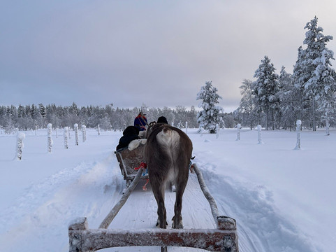 拉普兰之旅-撒利塞卡必去景点