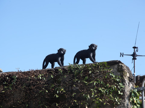 Island of the Fishermen (Isola dei Pescatori)-Lake Maggiore必去景点