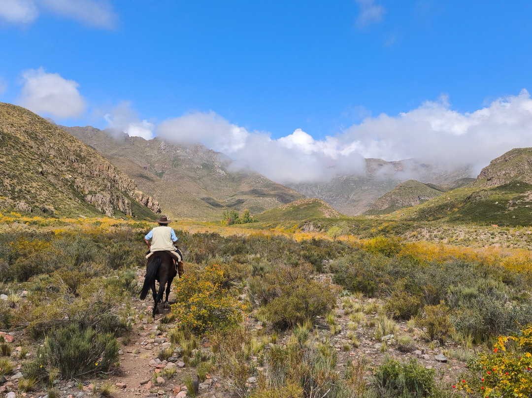 Cabalgatas Mendoza: Los Chacayes-门多萨必去景点