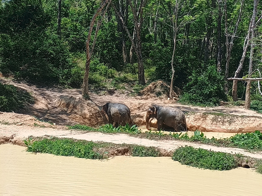 Hidden Forest Elephant Reserve-查龙必去景点