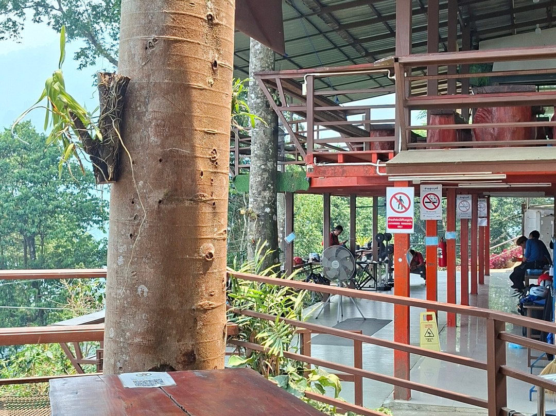 King Kong Smile Zipline-雷沙革必去景点