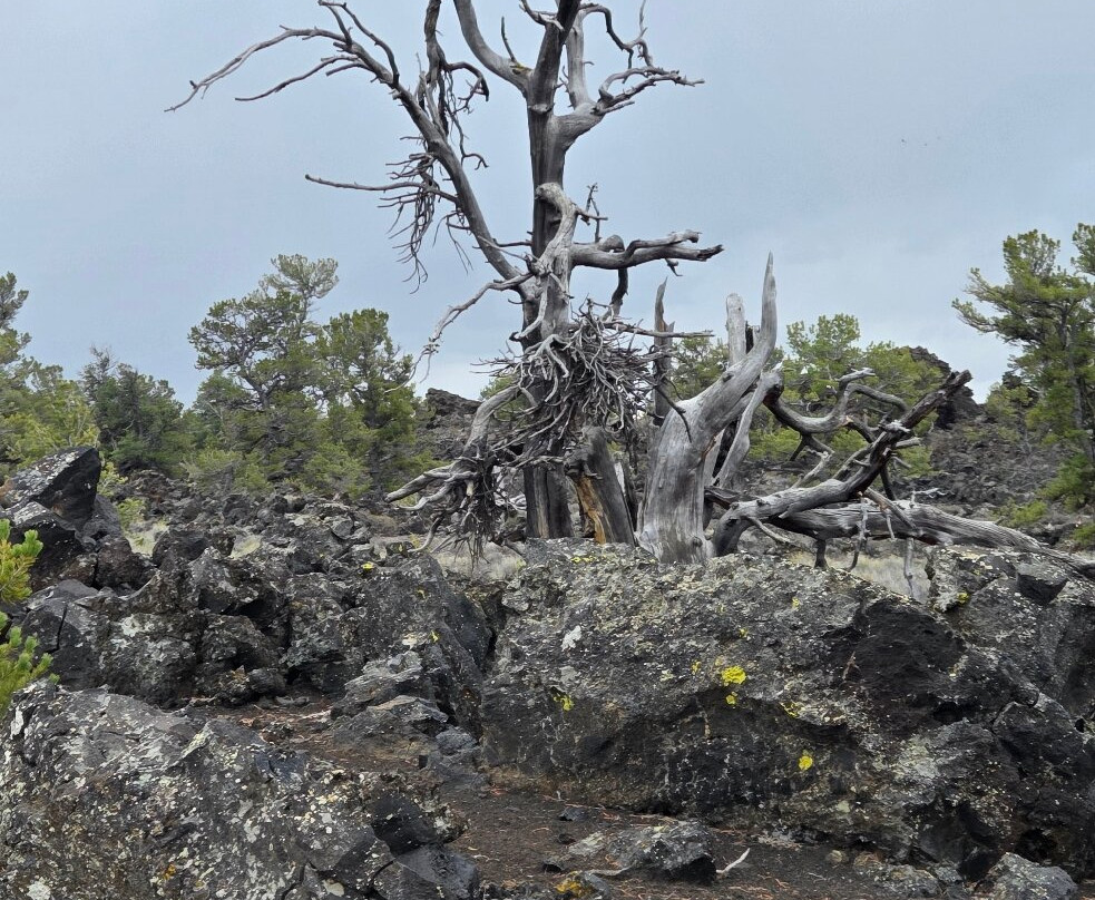 Craters of the Moon National Monument-Arco必去景点