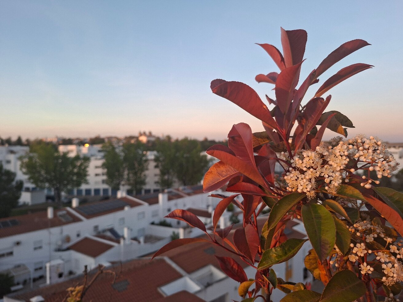 维多利亚斯通酒店-官方