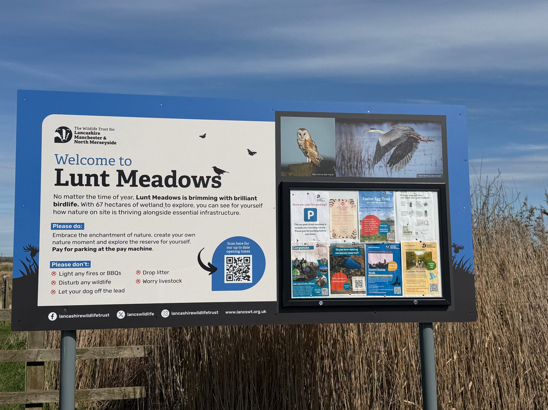 Lunt Meadows Nature Reserve-利物浦必去景点