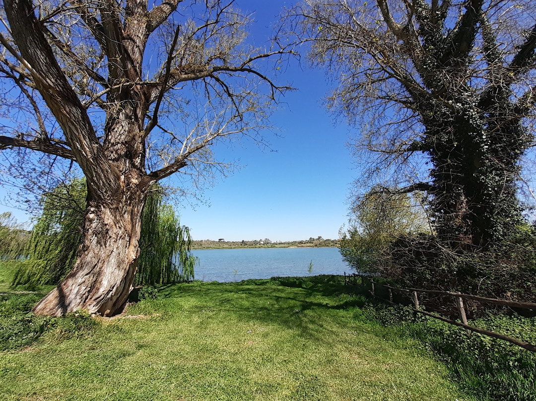 Lago di Monterosi-Monterosi必去景点