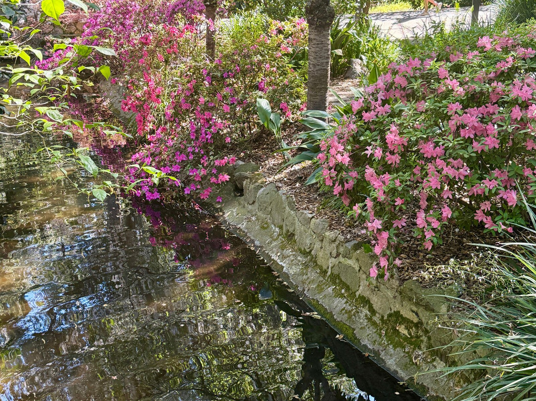 Descanso Gardens-拉肯纳达石岭必去景点