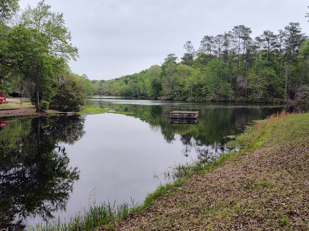 Poinsett State Park-Wedgefield必去景点