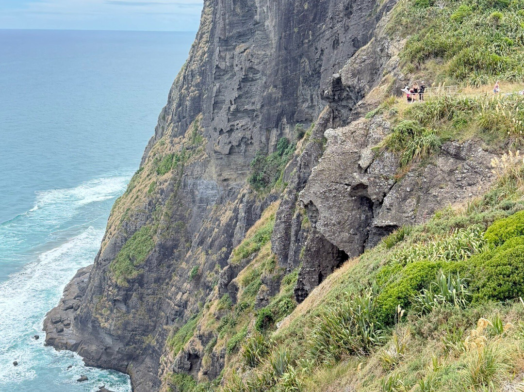 Mercer Bay Loop-皮哈海滩必去景点