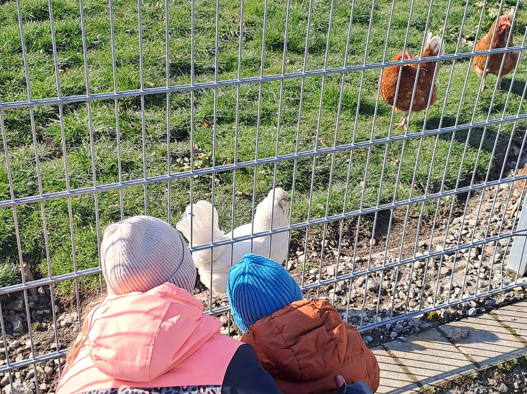 豪弗特蒂尔加滕酒店主图