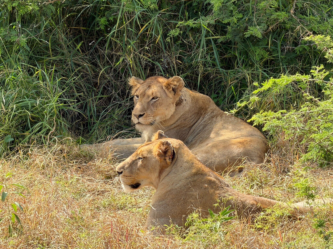 Touched By Nature-雾观必去景点