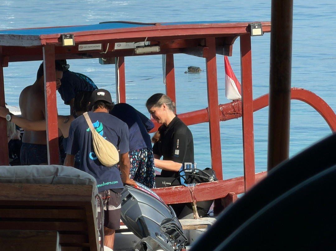 Divine Divers-Gili Meno必去景点