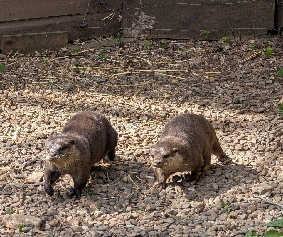 Wild Zoological Park-Bobbington必去景点