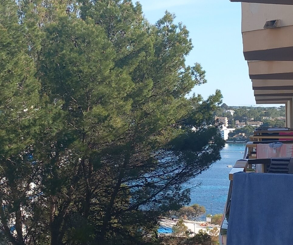 海上花园TRH住宿主图