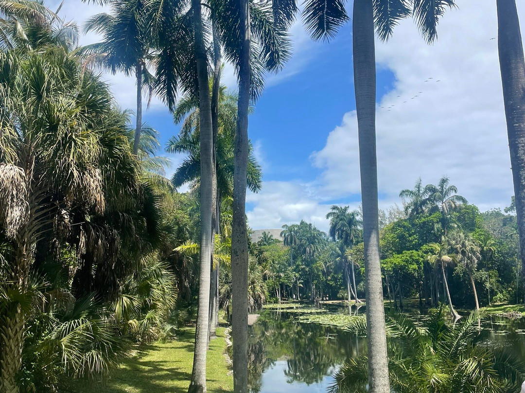 Bonnet House Museum and Gardens-劳德代尔堡必去景点