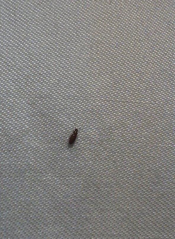 俄克拉何马城区温德姆大酒店主图